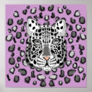Search for snow leopard art Illustration