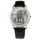 Search for camera watches Looking at camera
