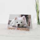 Search for samoyed puppy postcards Adorable