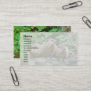 Search for hog business cards Nature