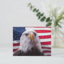 Search for bald eagle and american flag postcards Bird of prey