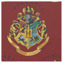 Search for slytherin crafts party Deathly hallows