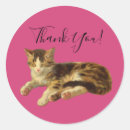 Search for happy kitty stickers Thank you