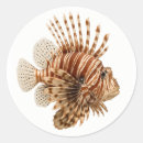 Search for predators stickers Marine life