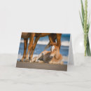 Search for corolla cards invites Atlantic ocean
