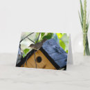 Search for wren bird cards Animals