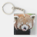 Search for cute red panda key rings Nature