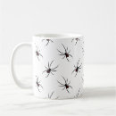 Search for widow spider Insects