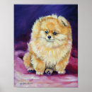 Search for pomeranian posters Animals