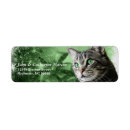 Search for cat rescue return address labels Animals