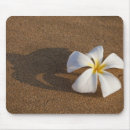 Search for maui mousepads Plumeria