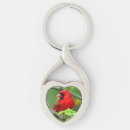 Search for cardinal key rings Animals