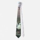 Search for seagull ties Wildlife