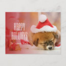 Search for dog sleeping cards Lying down