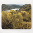 Search for canyons mousepads Water