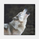 Search for wolf howling magnets Nature