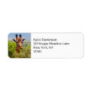 Search for giraffe return address labels Wild animal