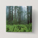 Search for ferns fern badges Green