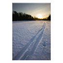 Search for forest path art Tranquil