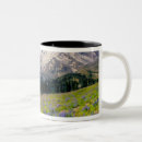 Search for mt rainier mugs Washington