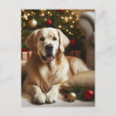 Search for retriever dog postcards Christmas tree