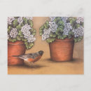 Search for garden birds postcards White