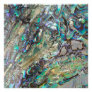 Search for abalone art Shell