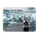 Search for whales magnets Wildlife