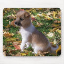 Search for jacks mousepads Autumn