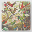 Search for hummingbird barware Kunstformen der natur