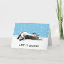 Search for sheepdogs cards Shetland sheepdog