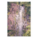 Search for road to hana Waterfall