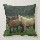 Search for mustang cushions Bob langrish