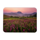 Search for thailand magnets Garden