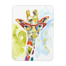 Search for portraits rectangular magnets Safari
