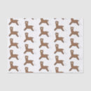 Search for alpaca tissue paper Cute