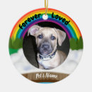 Search for loss pet memorial ornaments Deceased