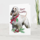 Search for afghan hound cards Pets