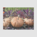 Search for thanksgiving tissue paper Decoupage