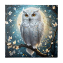 Search for owl tiles Decorative