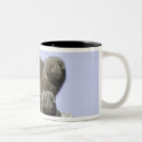 Search for delta mugs Animals in the wild