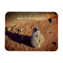 Search for enclosure photography Animals