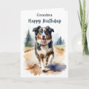 Search for australian shepherd birthday cards Animal