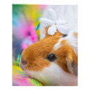 Search for easter pig Animal