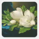 Search for velvet stickers Magnolia