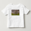 Search for wagon wheel tshirts Barn