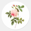 Search for victorian rose stickers Thank you