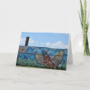 Search for pigeon cards Urban