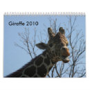 Search for giraffe calendars Wildlife