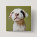 Search for eyes closed badges Pet